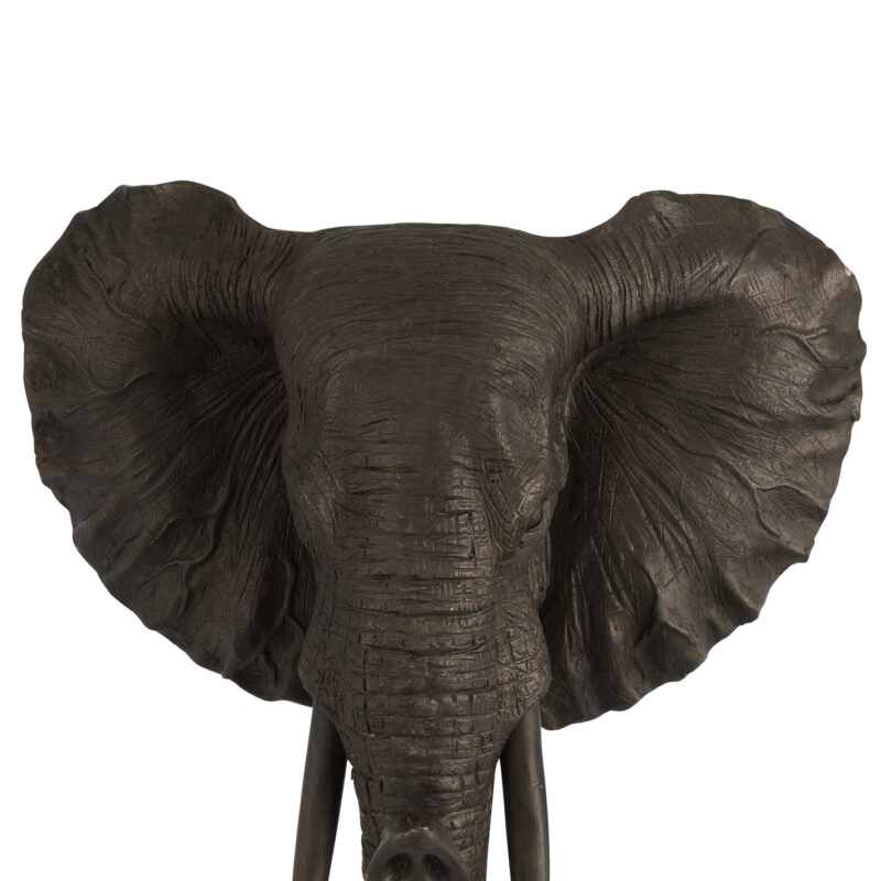 Elefantenkopf Hängend