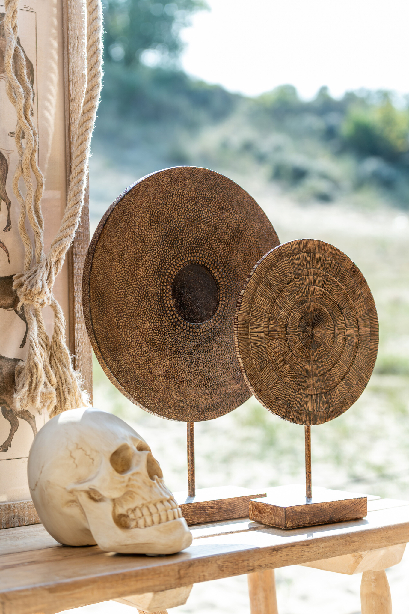 Schädel Groß – Bild 4