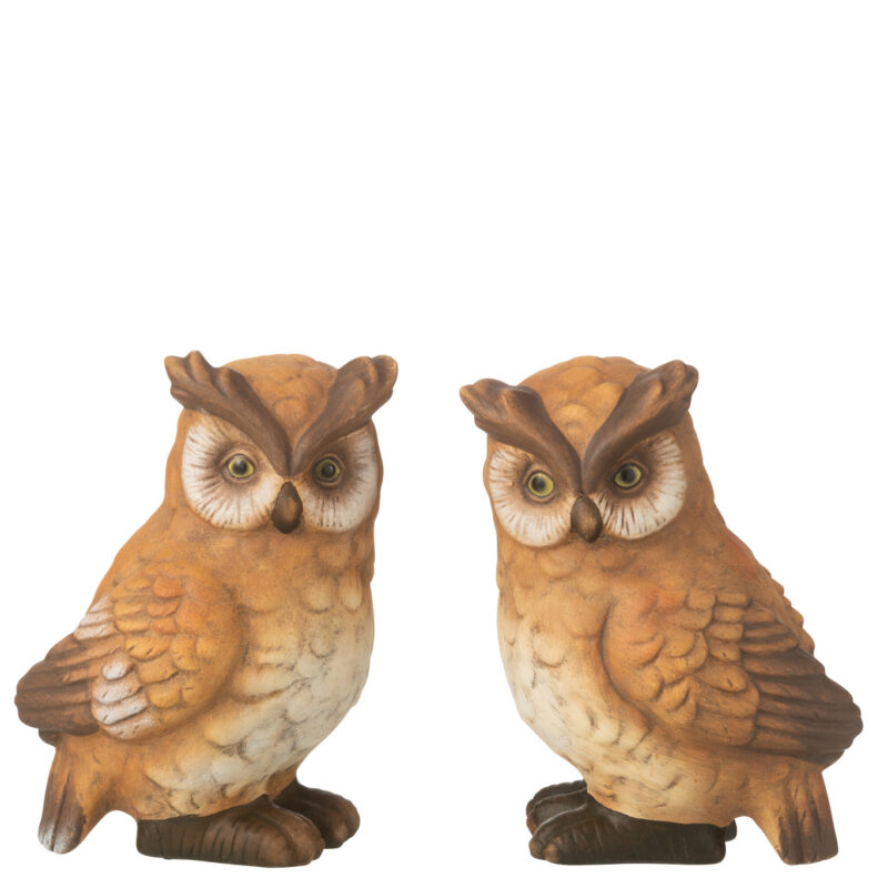 Set aus zwei Porzellan-Eulen in Braun