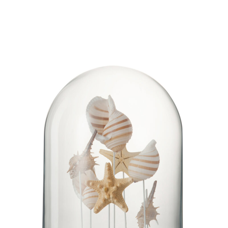 Glasglocke mit natürlichen Muscheln