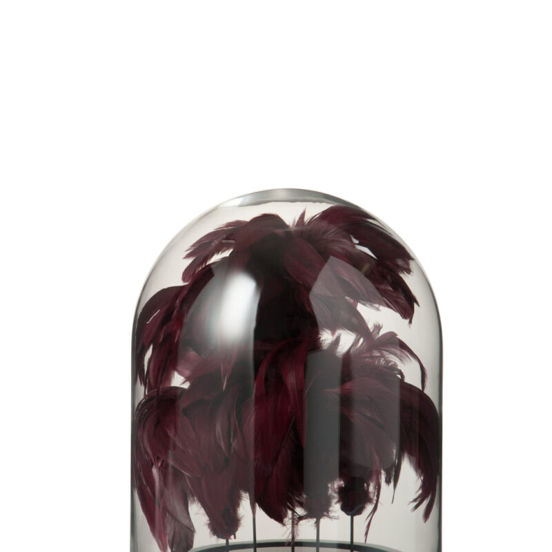 Glockenglas mit Federn in Bordeaux und Schwarz
