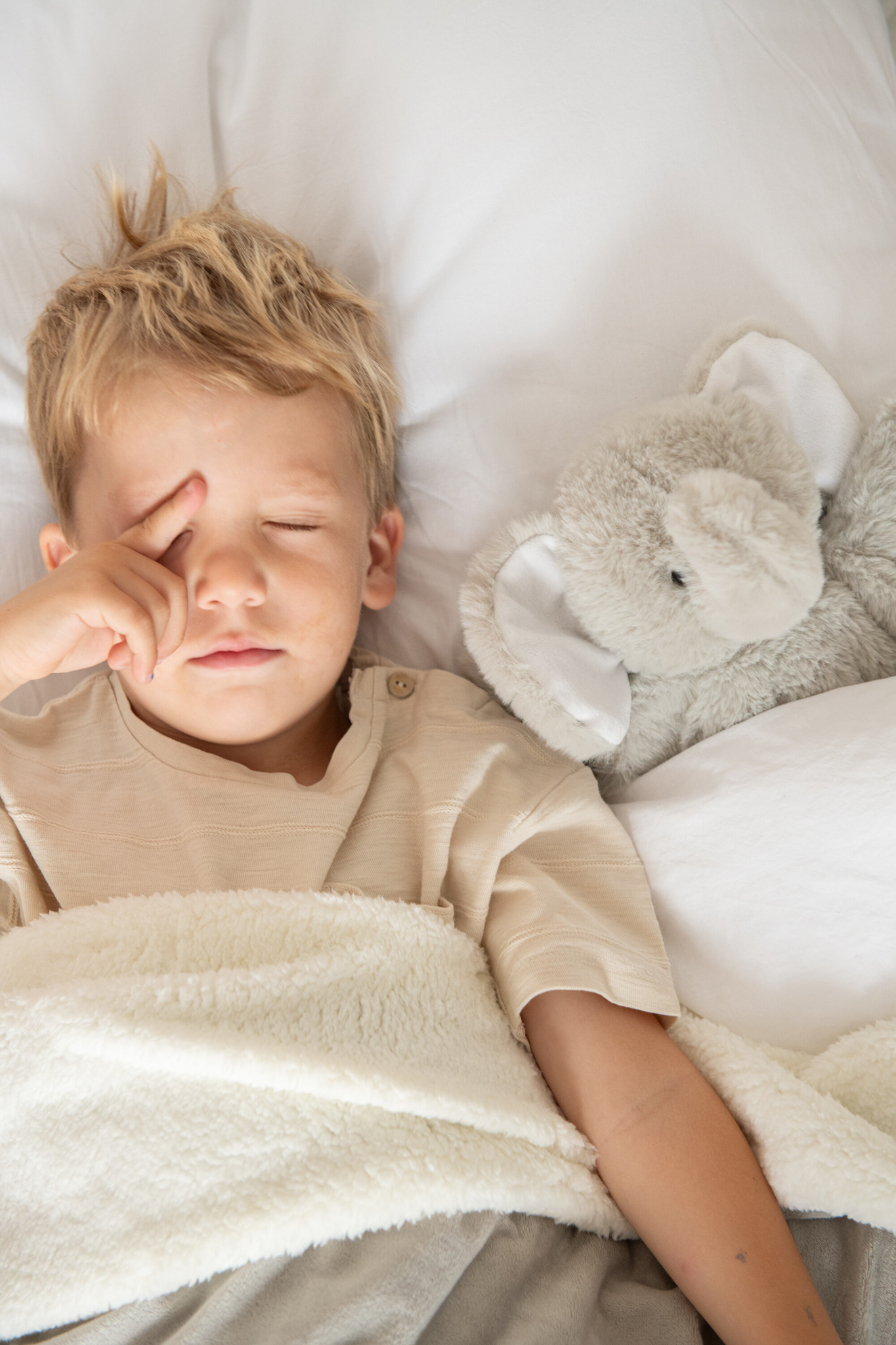 Plüsch-Elefant Grau/Greige mit Decke – Bild 3