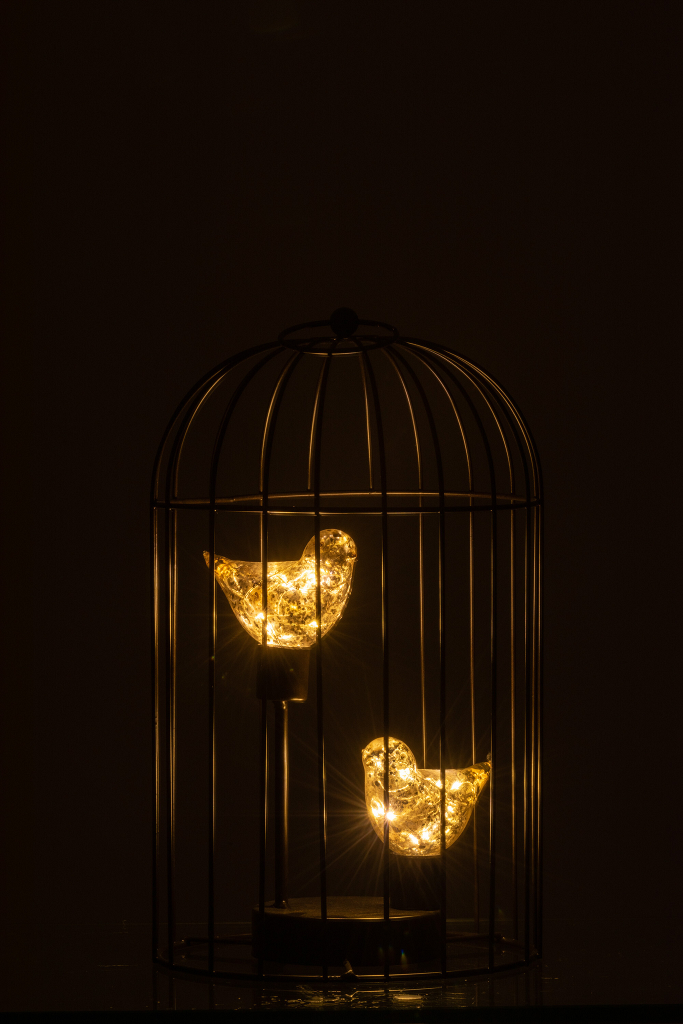 LED Vogelkäfig-Lampe mittel – Bild 3